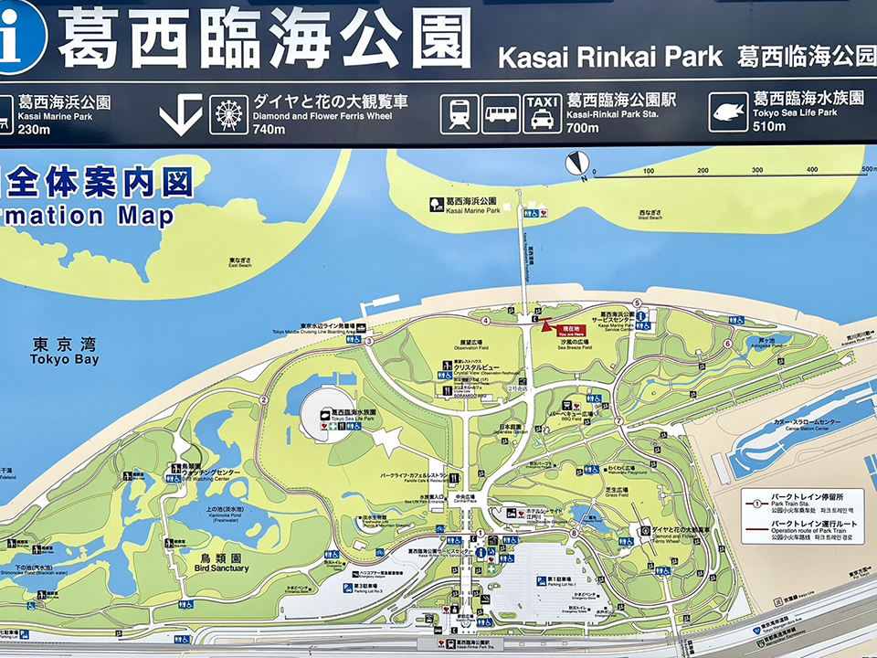 江戸川区の愛光式典の海洋散骨で使用する海